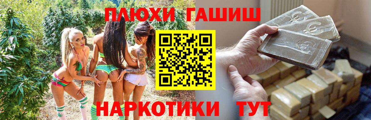 Людиново  ГАШИШ  Вход с VPN  ГАШ гашик  ГАШ Ice-O-Lator 