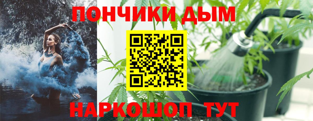 Бошки марихуана Amnesia  Конопля VHQ  Людиново  Вход с VPN  Бошки марихуана VHQ  Каннабис план 